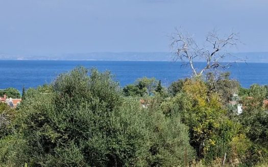 Αγροτεμάχιο στη Χανιώτη 4150m2