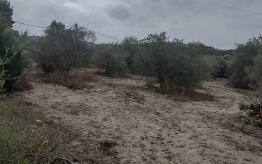 Αγροτεμάχιο στη Χανιώτη 4754m2