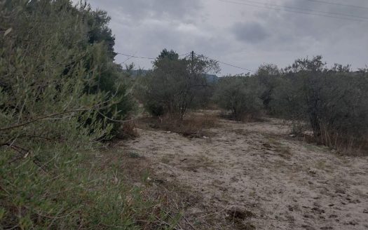 Αγροτεμάχιο στη Χανιώτη 4754m2