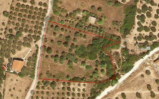Αγροτεμάχιο στη Χανιώτη 5120m2