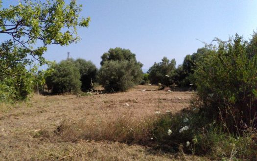 Αγροτεμάχιο στη Χανιώτη 5120m2