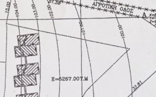 Αγροτεμάχιο στη Χανιώτη 5335m2